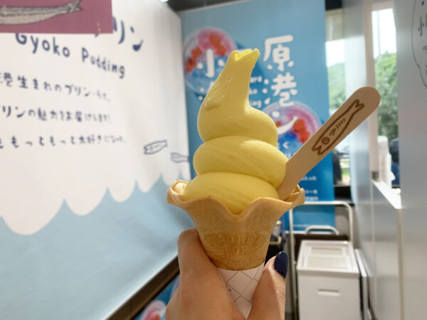 小田原漁港　とと丸食堂　レモンソフトクリーム